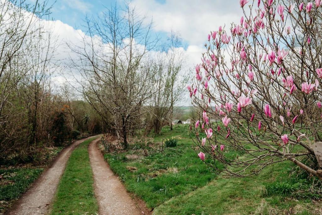 Robin Nest - Cosy Shepherd'S Hut Hideaway Callington Dış mekan fotoğraf